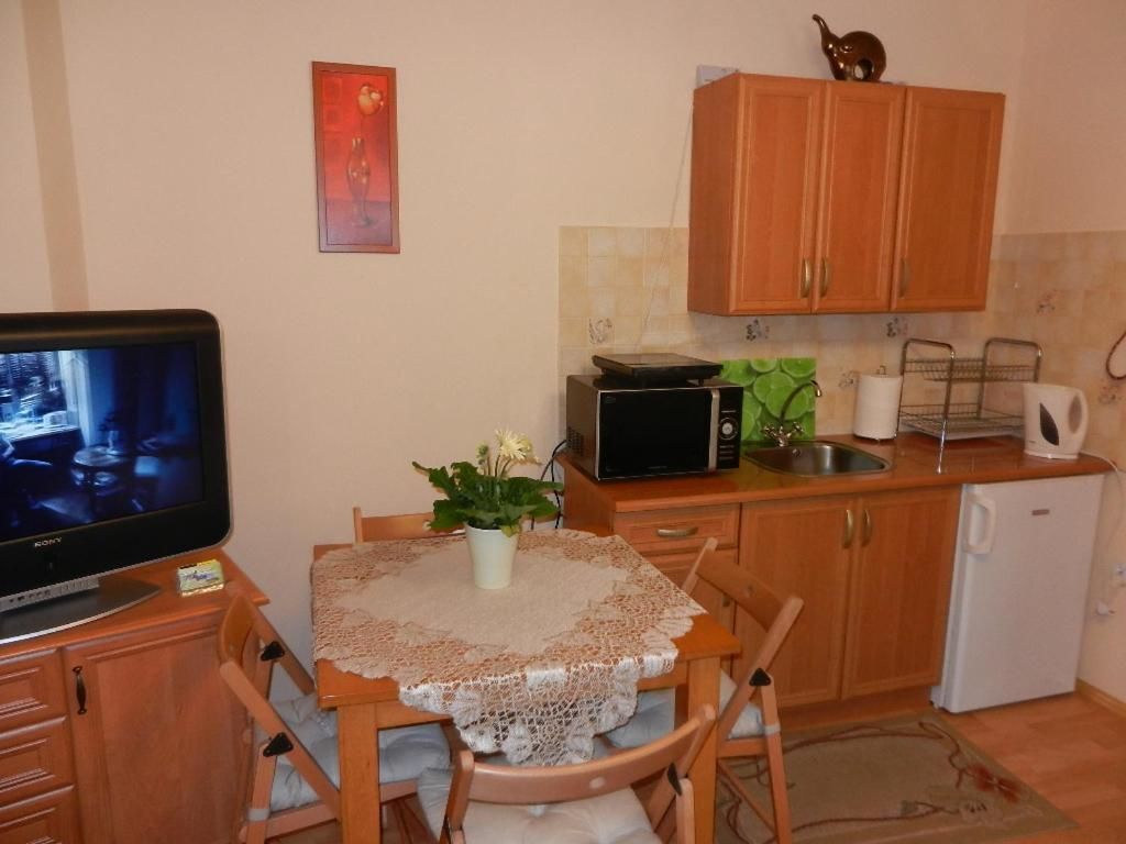 Апартаменты Apartament Przy Wangu Карпач-33